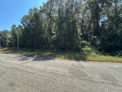 Lake Lot For Sale in Abbeville, Alabama