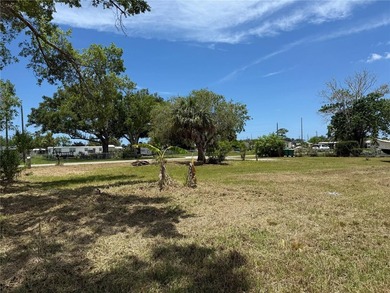 RARE TRIPLE LOT OPPORTUNITY IN HISTORIC EL JOBEAN! This - photo 5