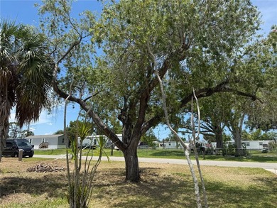 RARE TRIPLE LOT OPPORTUNITY IN HISTORIC EL JOBEAN! This - photo 6