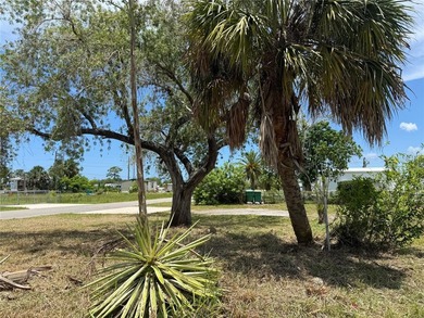 RARE TRIPLE LOT OPPORTUNITY IN HISTORIC EL JOBEAN! This - photo 7