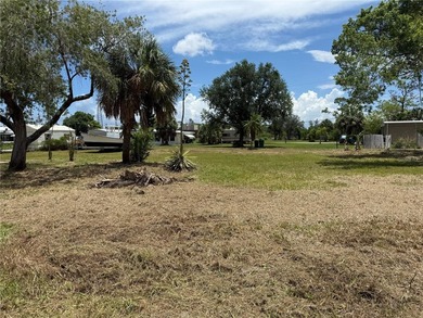 RARE TRIPLE LOT OPPORTUNITY IN HISTORIC EL JOBEAN! This - photo 8