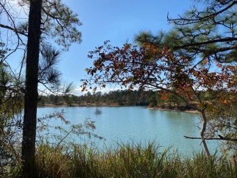 Leaf River - Forrest County Lot For Sale in Petal Mississippi