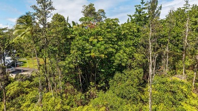 Build your Hawai'i dream home on this 1 acre vacant lot on Loke - photo 4