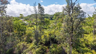 Build your Hawai'i dream home on this 1 acre vacant lot on Loke - photo 6
