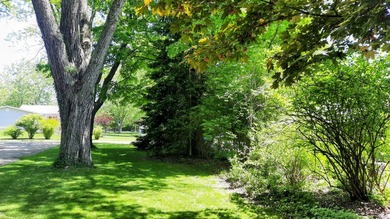 Downtown ONEKAMA just off M-22, this Super Cute 3 bed, 1 bath - photo 3