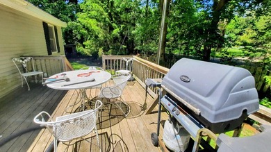 Downtown ONEKAMA just off M-22, this Super Cute 3 bed, 1 bath - photo 5