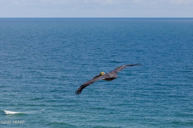 Experience direct oceanfront living at The Sherwin in Daytona - photo 47