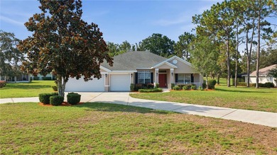 Don't miss this opportunity to own a spacious home on an - photo 1