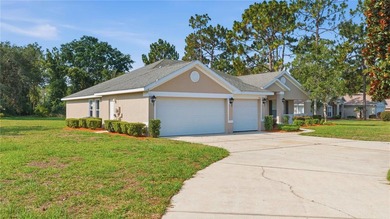 Don't miss this opportunity to own a spacious home on an - photo 3