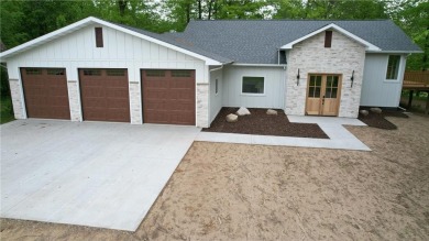 Lake Home For Sale in Center Twp, Minnesota
