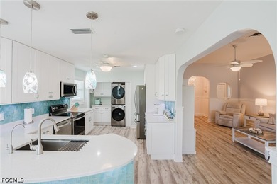 Amazing Opportunity! Newly Renovated, Gorgeous Island Style - photo 4