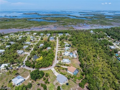 Amazing Opportunity! Newly Renovated, Gorgeous Island Style - photo 6