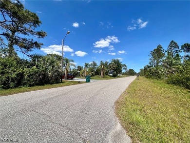 CORNER LOT PORT CHARLOTTE Beautiful corner lot offers a unique - photo 3