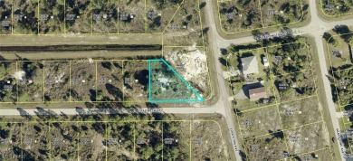 Lehigh Acres Area Lot For Sale in Lehigh Acres Florida