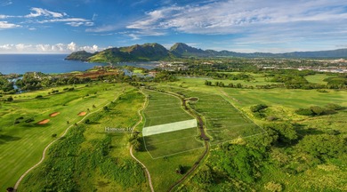 Welcome to Homesite 16 at Pakela Ike-a rare opportunity to craft - photo 1