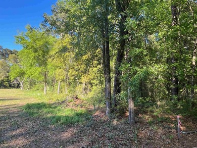 Excellent opportunity for a private residence or a home builder - photo 2