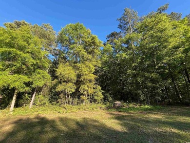 Excellent opportunity for a private residence or a home builder - photo 3