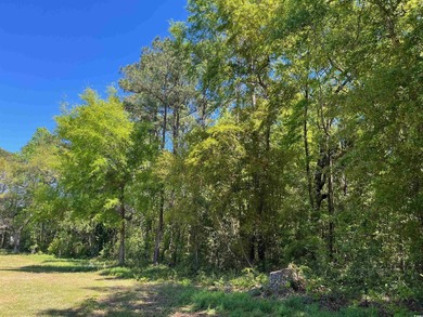 Excellent opportunity for a private residence or a home builder - photo 4
