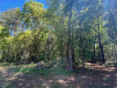 Excellent opportunity for a private residence or a home builder - photo 5