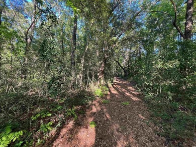 Excellent opportunity for a private residence or a home builder - photo 6