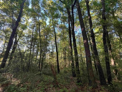 Excellent opportunity for a private residence or a home builder - photo 7