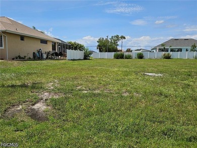 This triple lot is clean and flat with no obvious evidence of - photo 3