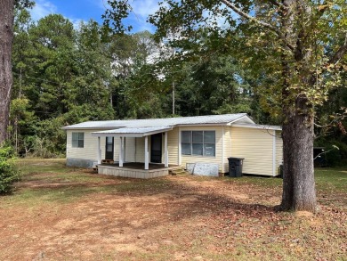 Lake Home For Sale in Abbeville, Alabama