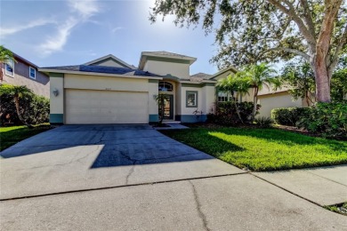 Lake Tarpon Home For Sale in Palm Harbor Florida