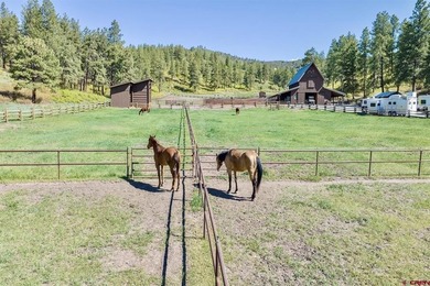 Kyle Roberts, The Wells Group of Durango, LLC, C:,,: Pine Ridge - photo 37