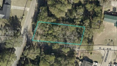 Discover the potential of this wooded lot located on Petigru - photo 1