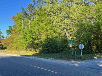 Discover the potential of this wooded lot located on Petigru - photo 2