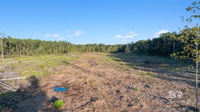 23 Acres and 484 ft of road frontage on County Road 6 in Gulf - photo 11