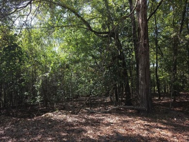 Lake Lot For Sale in Georgetown, Georgia