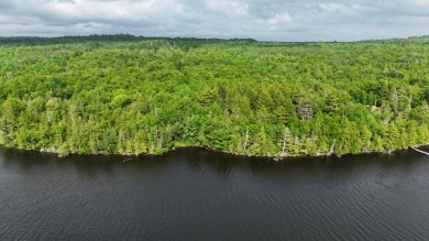 Lake Acreage For Sale in Ripley, Maine