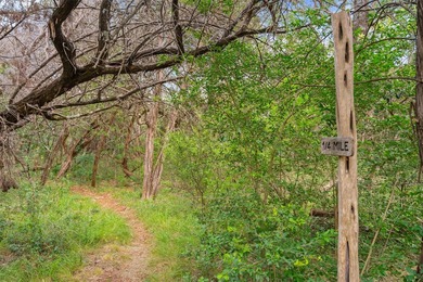 Nearly 10 private acres in Westlake with sweeping downtown - photo 32