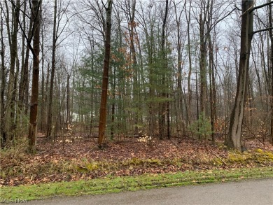 Pymatuning Reservoir Lot For Sale in Andover Ohio