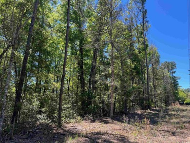 Excellent opportunity for a private residence or a home builder - photo 2