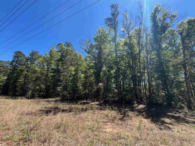 Excellent opportunity for a private residence or a home builder - photo 3