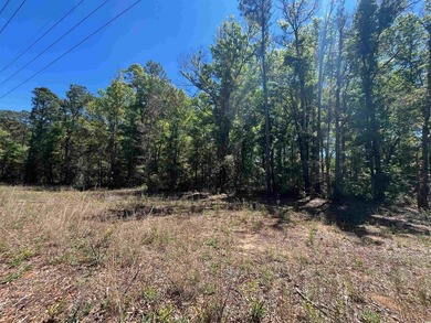 Excellent opportunity for a private residence or a home builder - photo 4