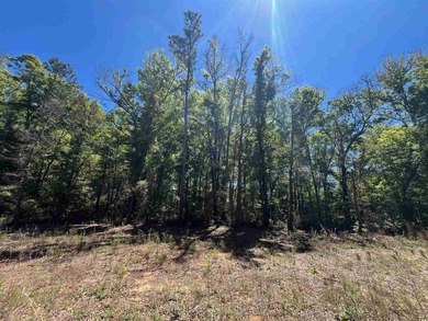 Excellent opportunity for a private residence or a home builder - photo 5