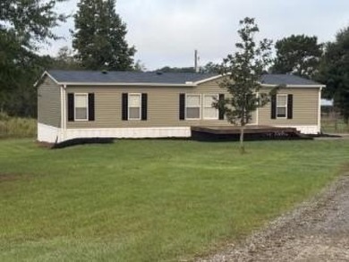 Lake Eufaula / Walter F. George Home For Sale in Georgetown Georgia