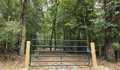 Lake Lot For Sale in Georgetown, Georgia