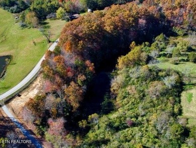 (private lake, pond, creek) Acreage For Sale in Helenwood Tennessee
