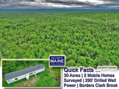(private lake, pond, creek) Home For Sale in Amity Maine