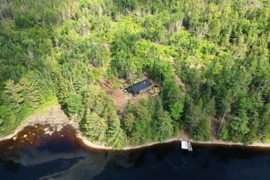 Lake Home For Sale in Sapling Twp, Maine