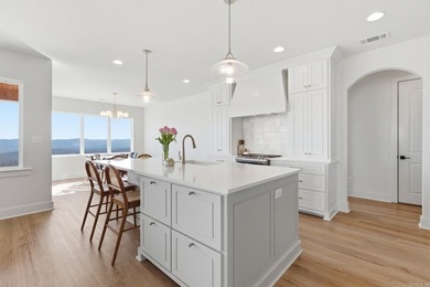 Open Concept floor plan with incredible views of Lake Maumelle - photo 14