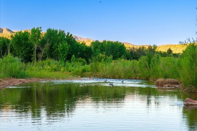Prime 15-Acre Parcel in Springdale - Unmatched Location & Scenic - photo 15