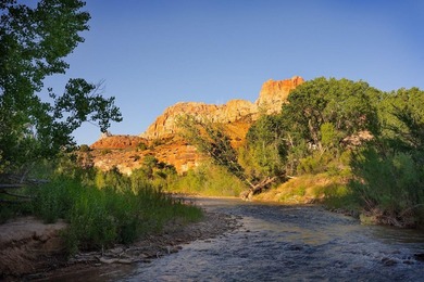 Prime 15-Acre Parcel in Springdale - Unmatched Location & Scenic - photo 19