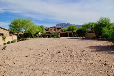 Build your Dream Home in Prospector Village at Superstition - photo 21