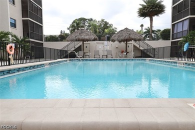 OR BEST OFFER! Gulf access condo with community boat slips and - photo 25